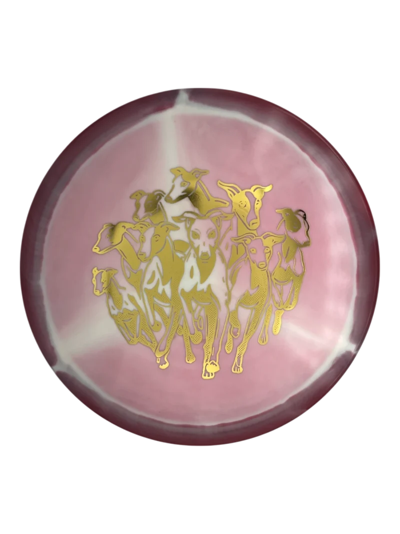 INHaloStarWhippetXWhiteMaroonRimwGoldI1879.webp